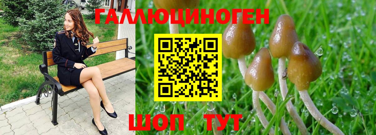 Галлюциногенные грибы Psilocybe  Вход с VPN  Семёнов  Галлюциногенные грибы MAGIC MUSHROOMS 